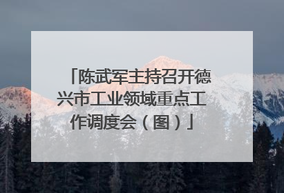 陈武军主持召开德兴市工业领域重点工作调度会（图）